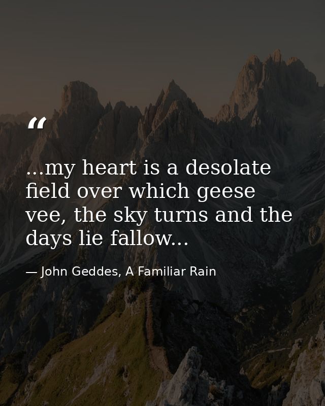 ...my heart is a desolate field over which geese vee, the sky turns and the days lie fallow... — John Geddes, A Familiar Rain