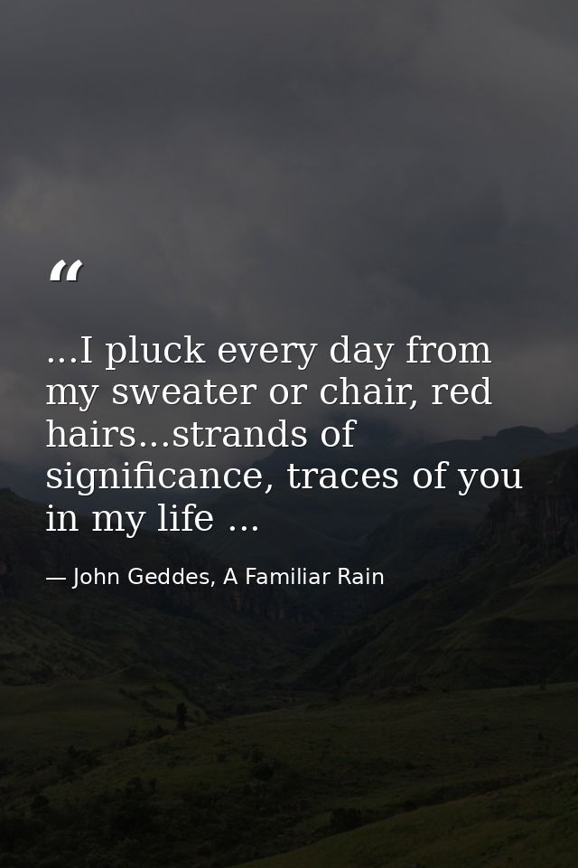 ...I pluck every day from my sweater or chair, red hairs...strands of significance, traces of you in my life ... — John Geddes, A Familiar Rain