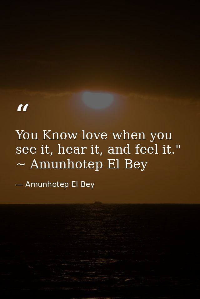 You Know love when you see it, hear it, and feel it." ~ Amunhotep El Bey — Amunhotep El Bey