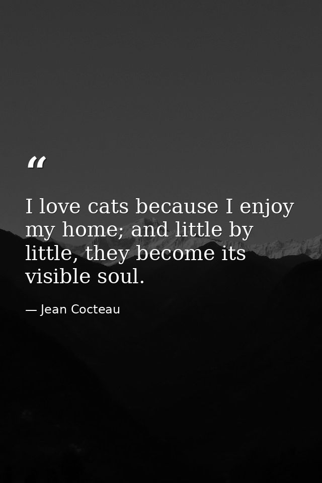 I love cats because I enjoy my home; and little by little, they become its visible soul. — Jean Cocteau
