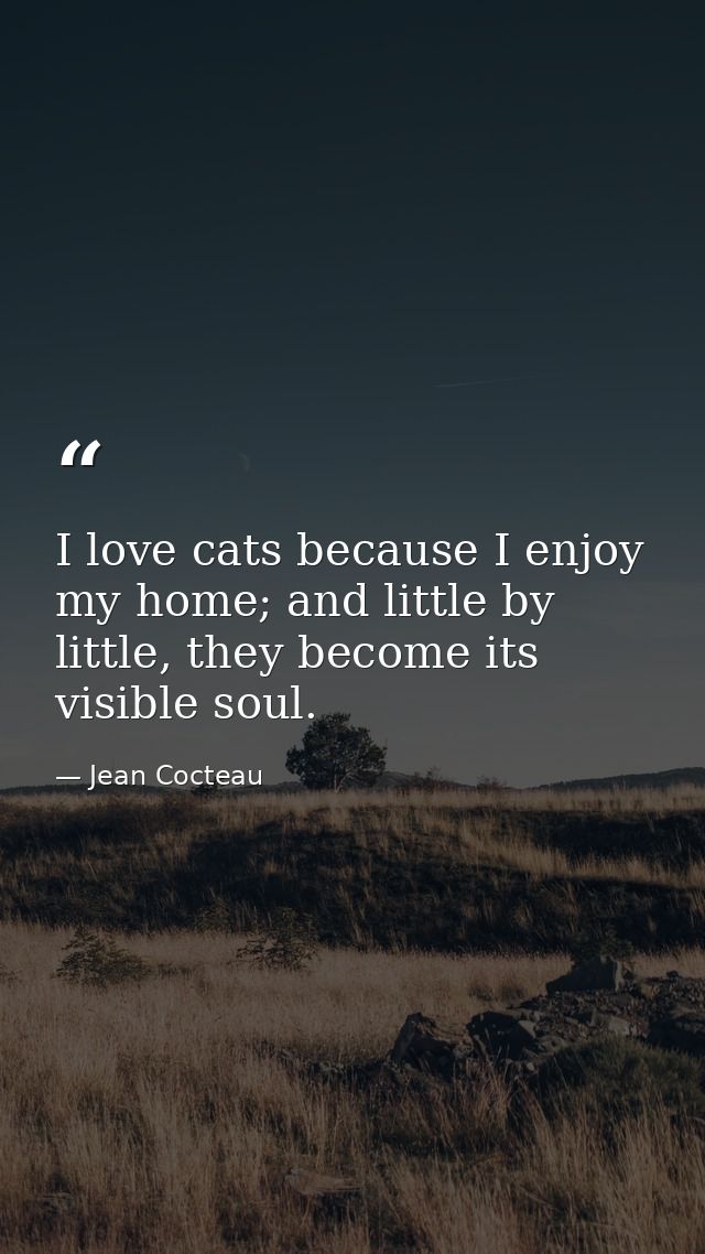 I love cats because I enjoy my home; and little by little, they become its visible soul. — Jean Cocteau
