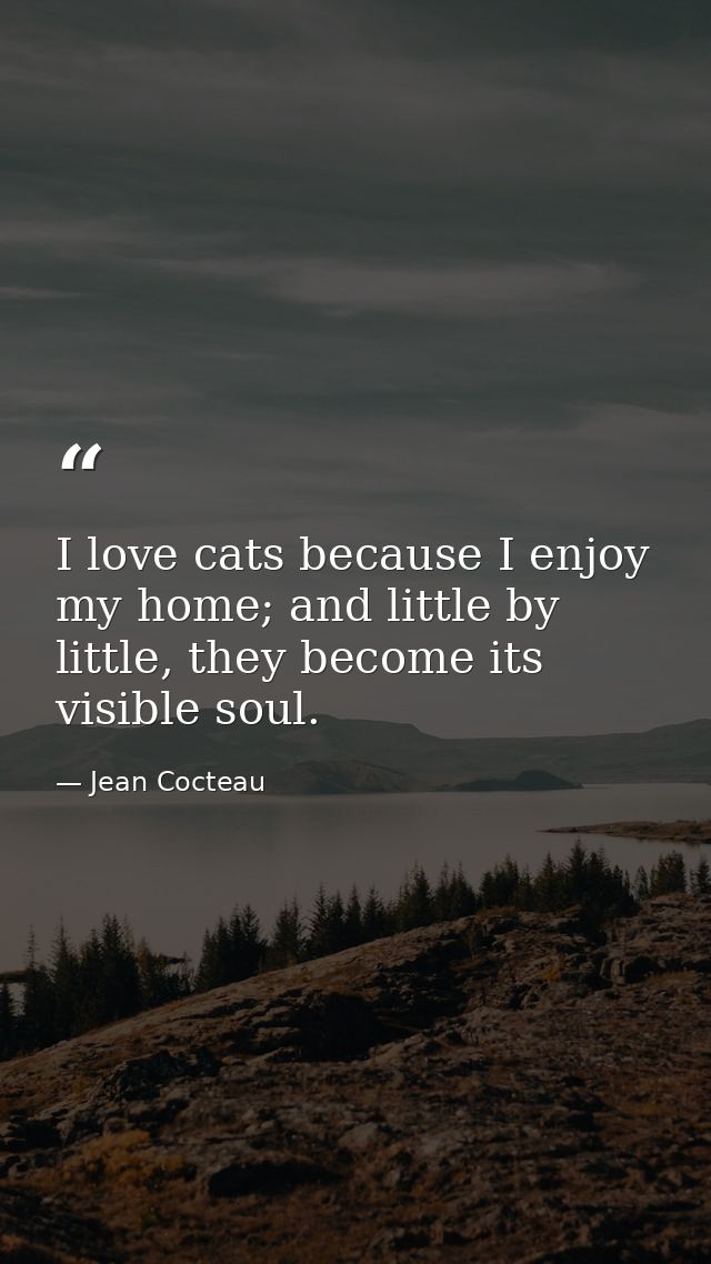 I love cats because I enjoy my home; and little by little, they become its visible soul. — Jean Cocteau