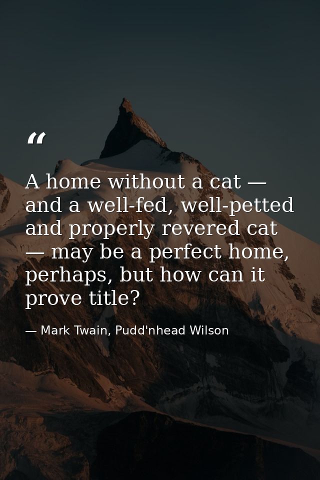 A home without a cat — and a well-fed, well-petted and properly revered cat — may be a perfect home, perhaps, but how ca — Mark Twain, Pudd'nhead Wilson