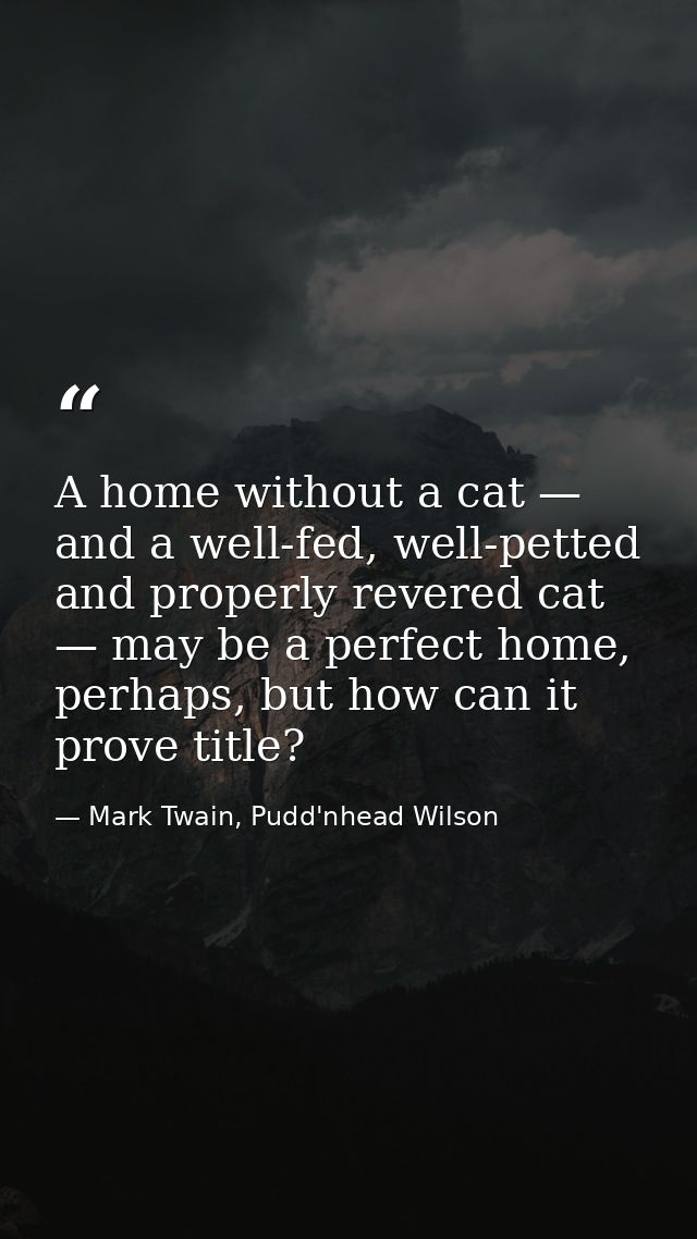 A home without a cat — and a well-fed, well-petted and properly revered cat — may be a perfect home, perhaps, but how ca — Mark Twain, Pudd'nhead Wilson