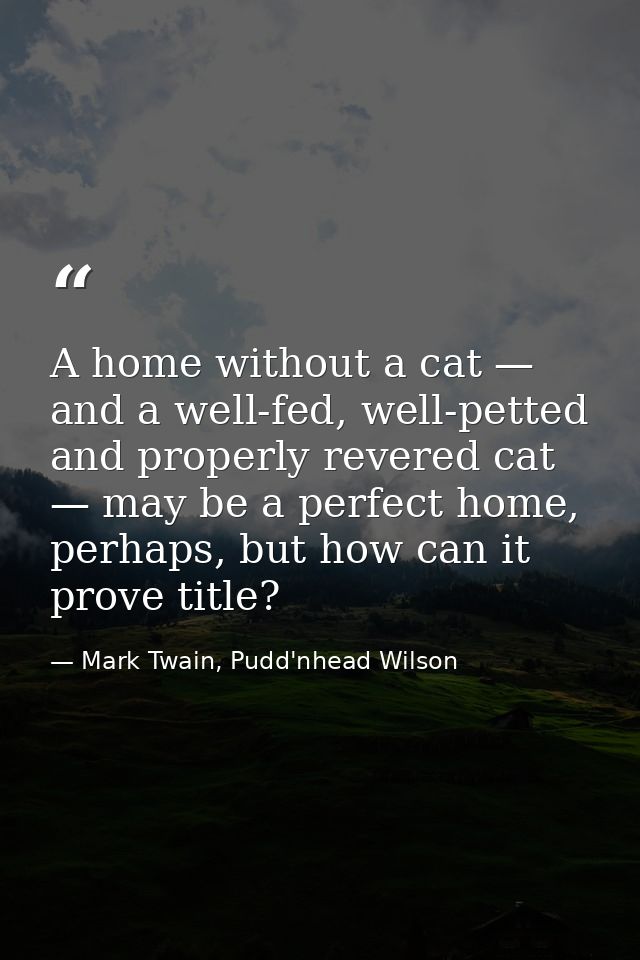 A home without a cat — and a well-fed, well-petted and properly revered cat — may be a perfect home, perhaps, but how ca — Mark Twain, Pudd'nhead Wilson