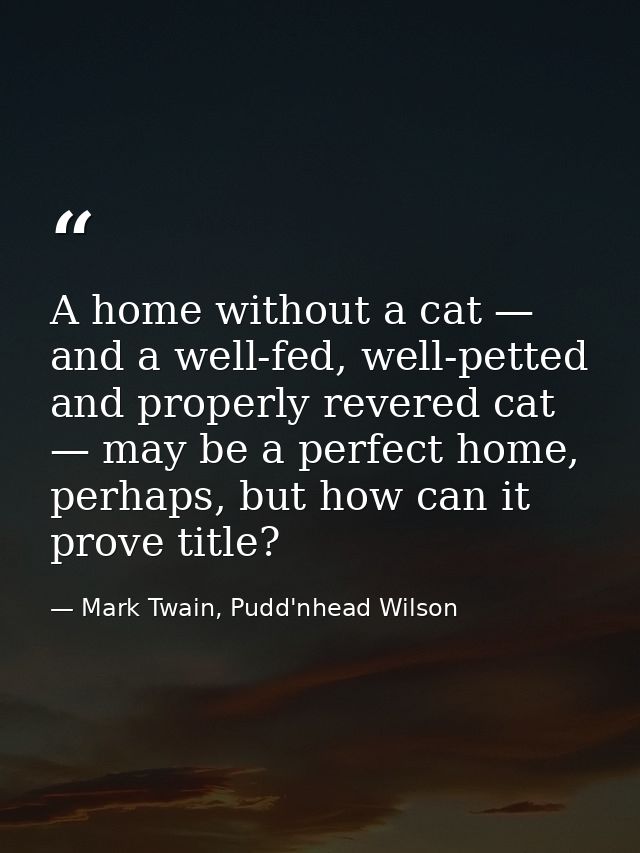 A home without a cat — and a well-fed, well-petted and properly revered cat — may be a perfect home, perhaps, but how ca — Mark Twain, Pudd'nhead Wilson