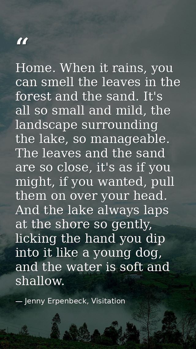 Home. When it rains, you can smell the leaves in the forest and the sand. It's all so small and mild, the landscape surr — Jenny Erpenbeck, Visitation