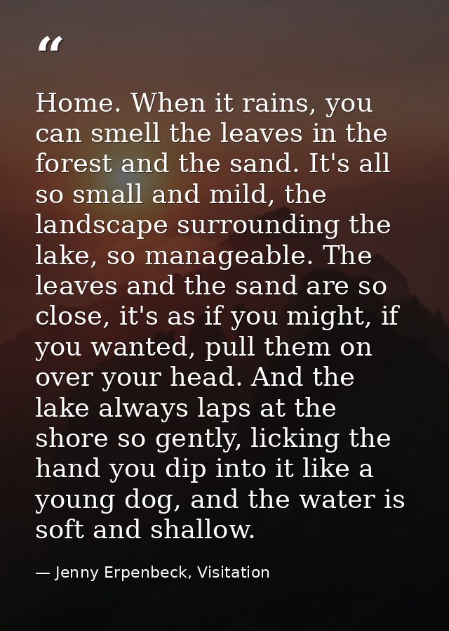 Home. When it rains, you can smell the leaves in the forest and the sand. It's all so small and mild, the landscape surr — Jenny Erpenbeck, Visitation