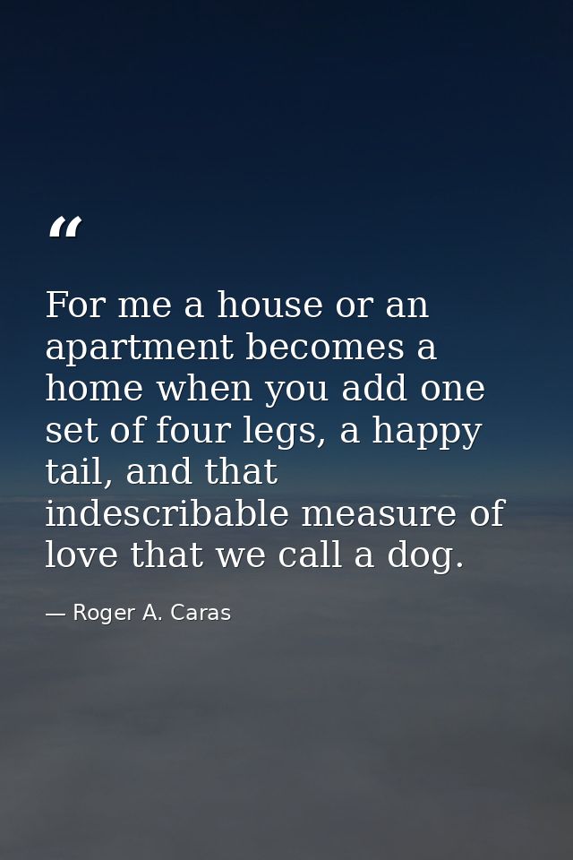 For me a house or an apartment becomes a home when you add one set of four legs, a happy tail, and that indescribable me — Roger A. Caras