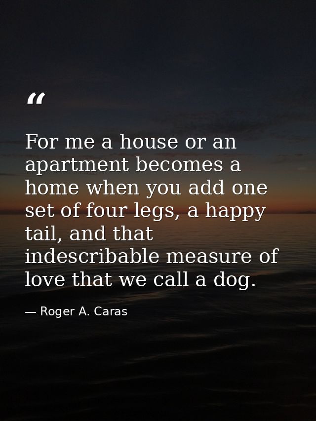 For me a house or an apartment becomes a home when you add one set of four legs, a happy tail, and that indescribable me — Roger A. Caras