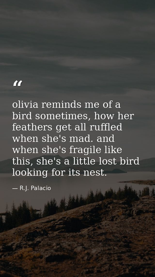 olivia reminds me of a bird sometimes, how her feathers get all ruffled when she's mad. and when she's fragile like this — R.J. Palacio