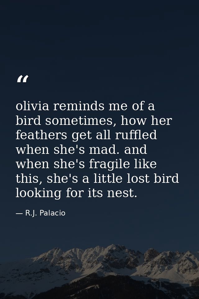 olivia reminds me of a bird sometimes, how her feathers get all ruffled when she's mad. and when she's fragile like this — R.J. Palacio