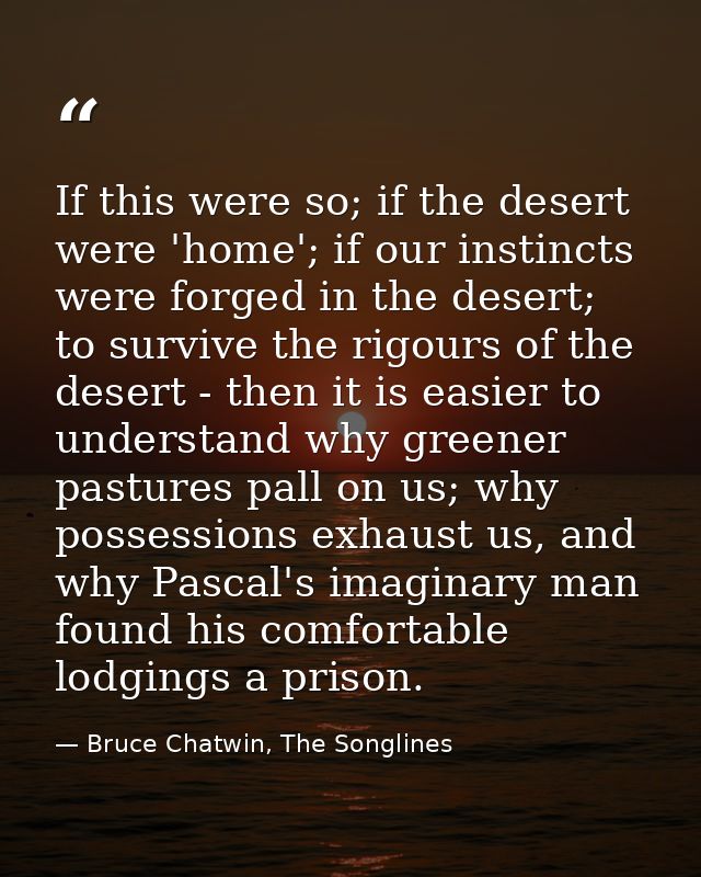 If this were so; if the desert were 'home'; if our instincts were forged in the desert; to survive the rigours of the de — Bruce Chatwin, The Songlines