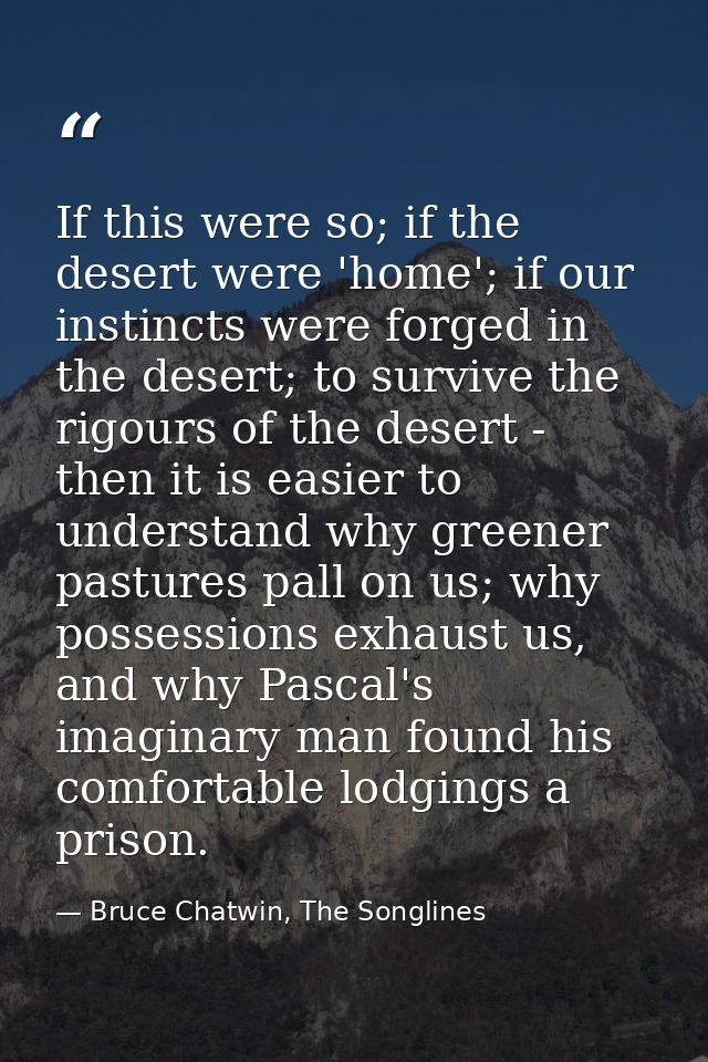 If this were so; if the desert were 'home'; if our instincts were forged in the desert; to survive the rigours of the de — Bruce Chatwin, The Songlines