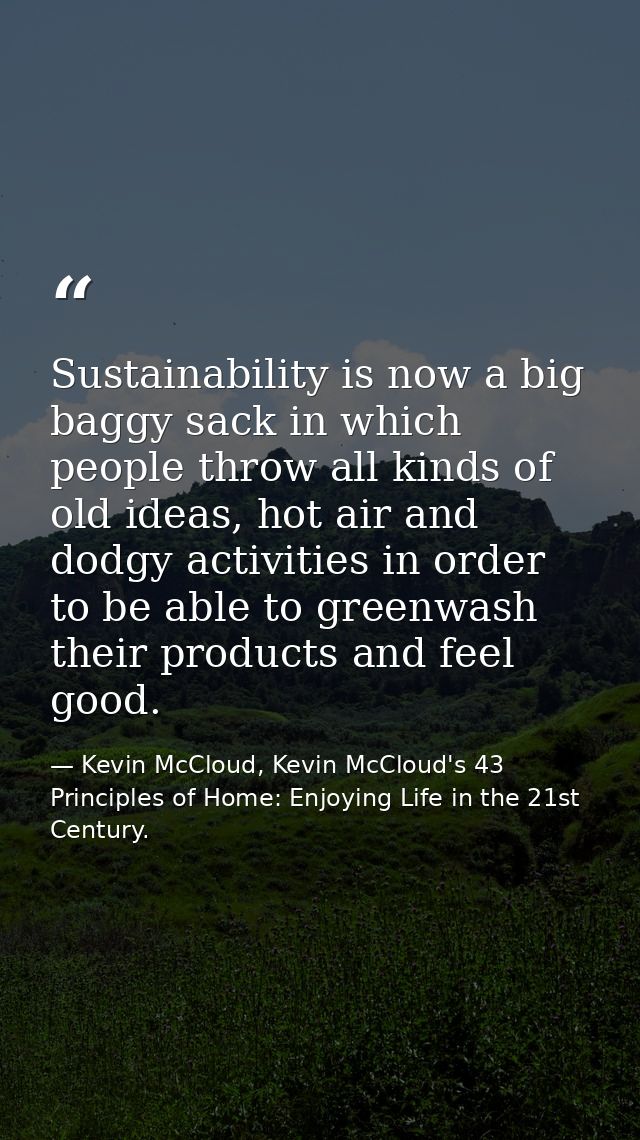 Sustainability is now a big baggy sack in which people throw all kinds of old ideas, hot air and dodgy activities in ord — Kevin McCloud, Kevin McCloud's 43 Principles of Home: Enjoying Life in the 21st Century.