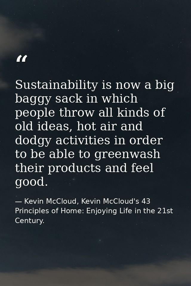 Sustainability is now a big baggy sack in which people throw all kinds of old ideas, hot air and dodgy activities in ord — Kevin McCloud, Kevin McCloud's 43 Principles of Home: Enjoying Life in the 21st Century.