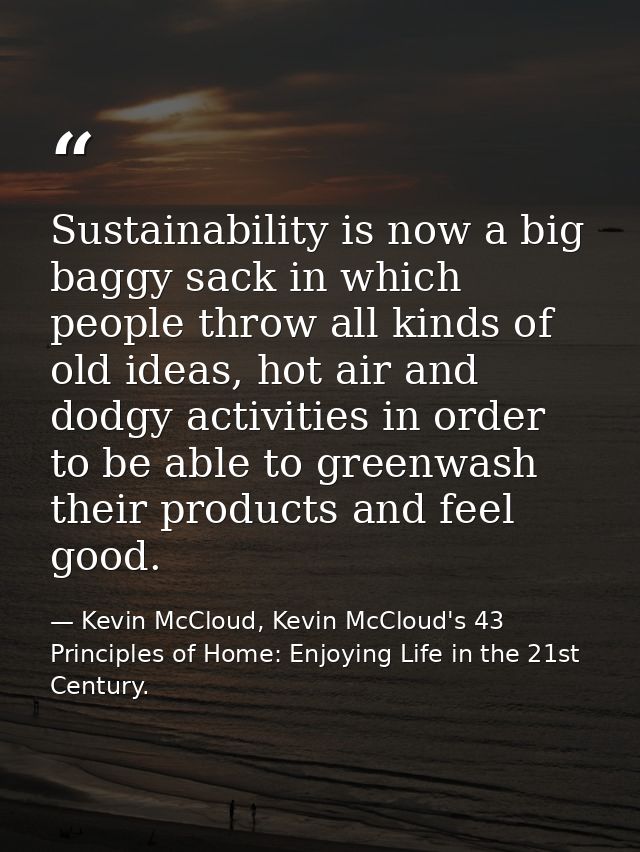 Sustainability is now a big baggy sack in which people throw all kinds of old ideas, hot air and dodgy activities in ord — Kevin McCloud, Kevin McCloud's 43 Principles of Home: Enjoying Life in the 21st Century.