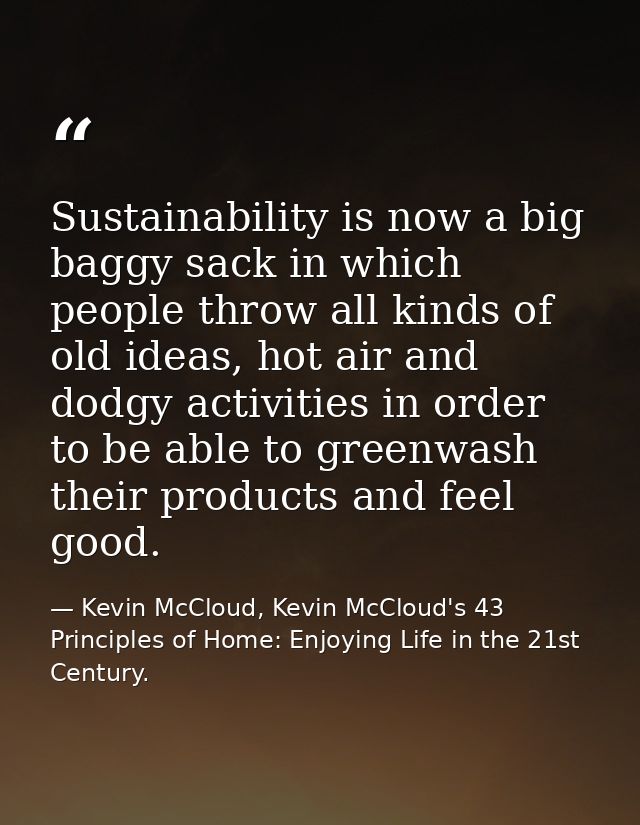 Sustainability is now a big baggy sack in which people throw all kinds of old ideas, hot air and dodgy activities in ord — Kevin McCloud, Kevin McCloud's 43 Principles of Home: Enjoying Life in the 21st Century.