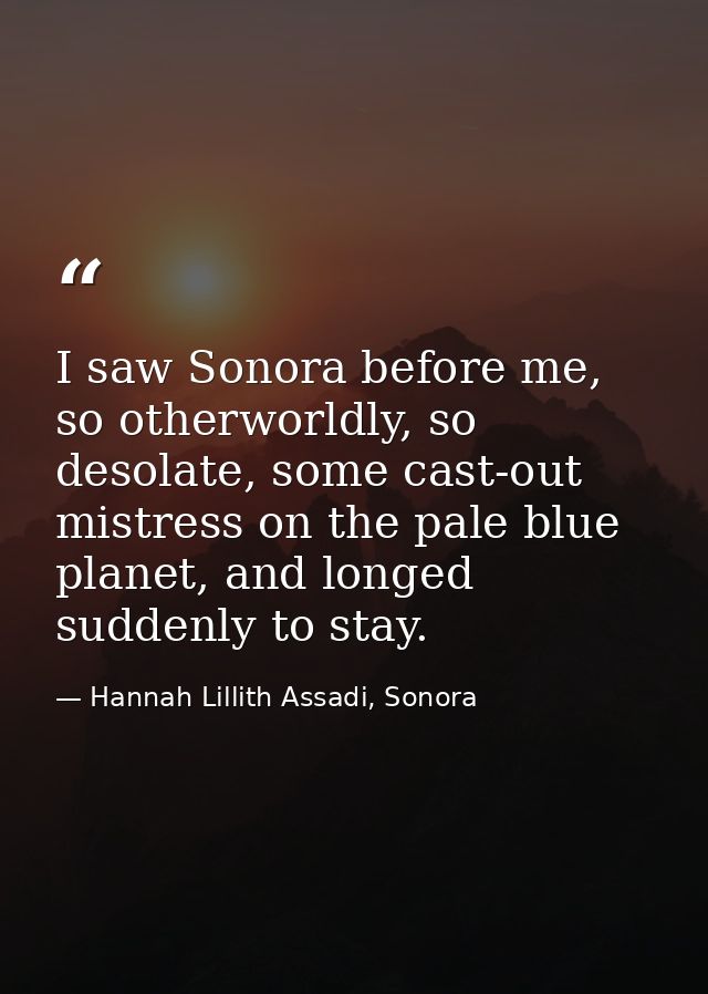 I saw Sonora before me, so otherworldly, so desolate, some cast-out mistress on the pale blue planet, and longed suddenl — Hannah Lillith Assadi, Sonora