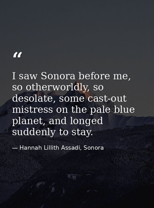 I saw Sonora before me, so otherworldly, so desolate, some cast-out mistress on the pale blue planet, and longed suddenl — Hannah Lillith Assadi, Sonora