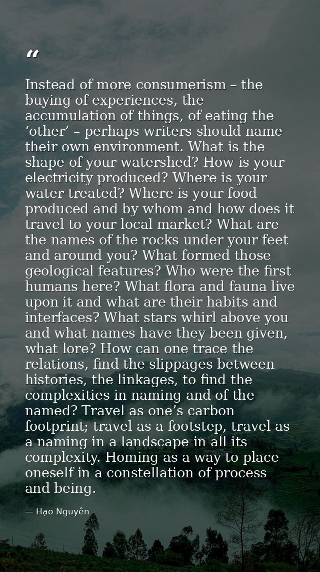 Instead of more consumerism – the buying of experiences, the accumulation of things, of eating the ‘other’ – perhaps wri — Hạo Nguyên