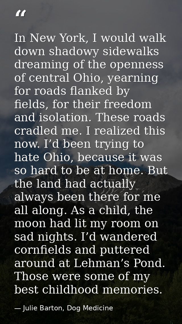 In New York, I would walk down shadowy sidewalks dreaming of the openness of central Ohio, yearning for roads flanked by — Julie Barton, Dog Medicine