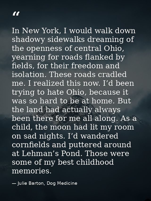 In New York, I would walk down shadowy sidewalks dreaming of the openness of central Ohio, yearning for roads flanked by — Julie Barton, Dog Medicine
