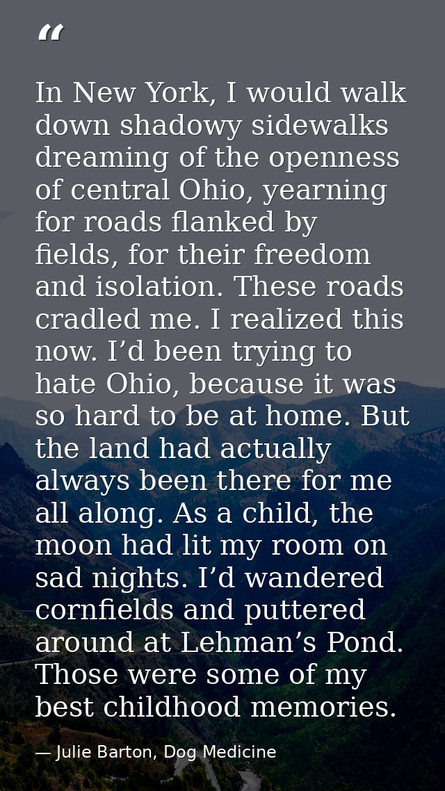 In New York, I would walk down shadowy sidewalks dreaming of the openness of central Ohio, yearning for roads flanked by — Julie Barton, Dog Medicine