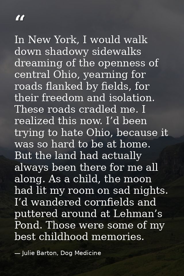 In New York, I would walk down shadowy sidewalks dreaming of the openness of central Ohio, yearning for roads flanked by — Julie Barton, Dog Medicine