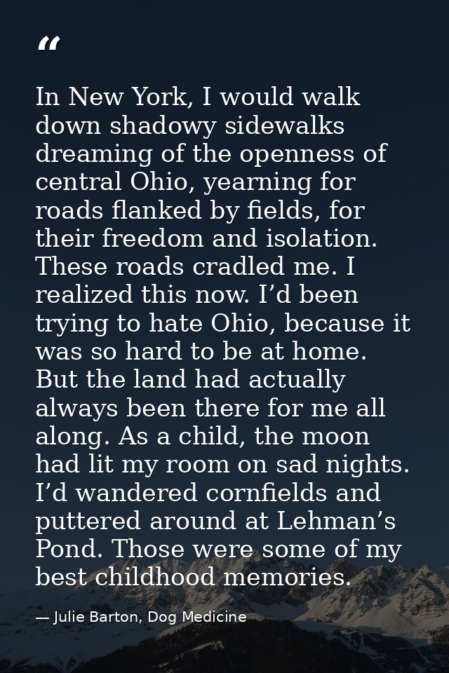 In New York, I would walk down shadowy sidewalks dreaming of the openness of central Ohio, yearning for roads flanked by — Julie Barton, Dog Medicine