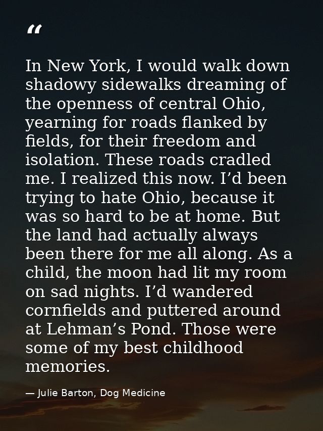 In New York, I would walk down shadowy sidewalks dreaming of the openness of central Ohio, yearning for roads flanked by — Julie Barton, Dog Medicine
