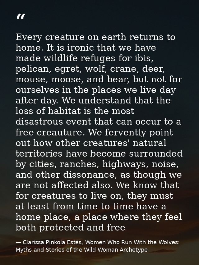 Every creature on earth returns to home. It is ironic that we have made wildlife refuges for ibis, pelican, egret, wolf, — Clarissa Pinkola Estés, Women Who Run With the Wolves: Myths and Stories of the Wild Woman Archetype