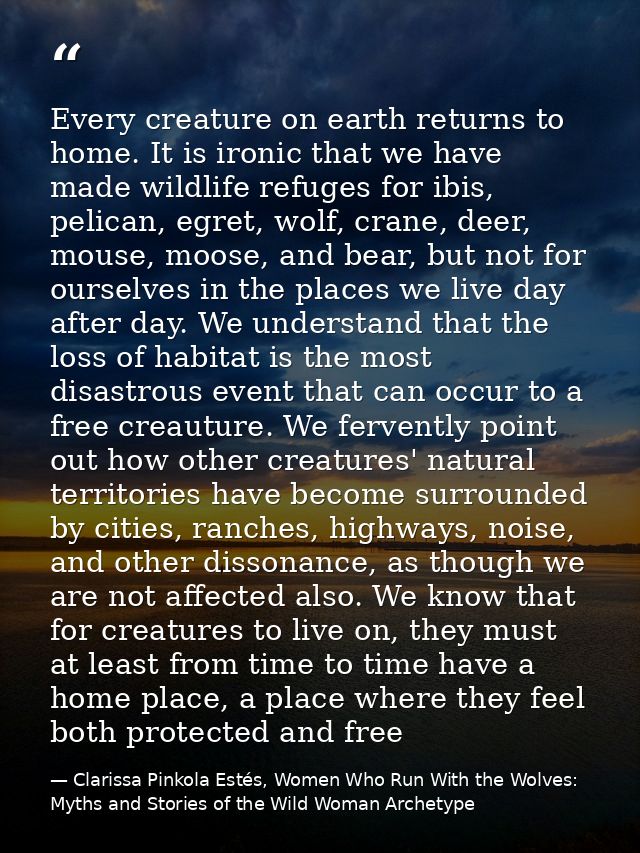 Every creature on earth returns to home. It is ironic that we have made wildlife refuges for ibis, pelican, egret, wolf, — Clarissa Pinkola Estés, Women Who Run With the Wolves: Myths and Stories of the Wild Woman Archetype