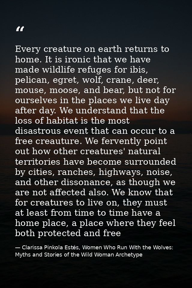 Every creature on earth returns to home. It is ironic that we have made wildlife refuges for ibis, pelican, egret, wolf, — Clarissa Pinkola Estés, Women Who Run With the Wolves: Myths and Stories of the Wild Woman Archetype