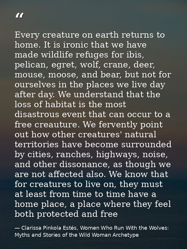 Every creature on earth returns to home. It is ironic that we have made wildlife refuges for ibis, pelican, egret, wolf, — Clarissa Pinkola Estés, Women Who Run With the Wolves: Myths and Stories of the Wild Woman Archetype
