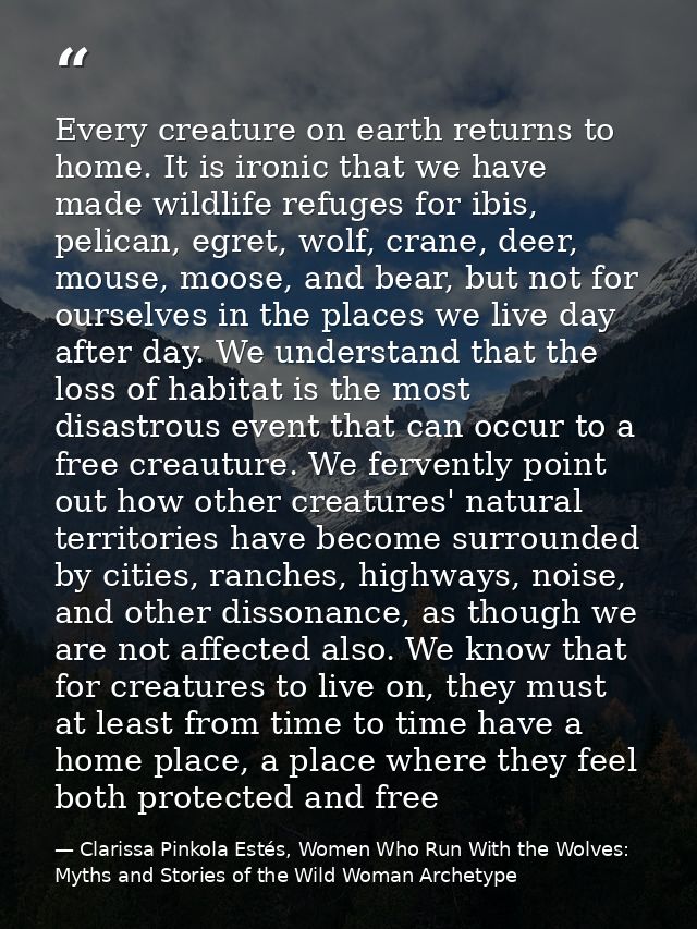 Every creature on earth returns to home. It is ironic that we have made wildlife refuges for ibis, pelican, egret, wolf, — Clarissa Pinkola Estés, Women Who Run With the Wolves: Myths and Stories of the Wild Woman Archetype