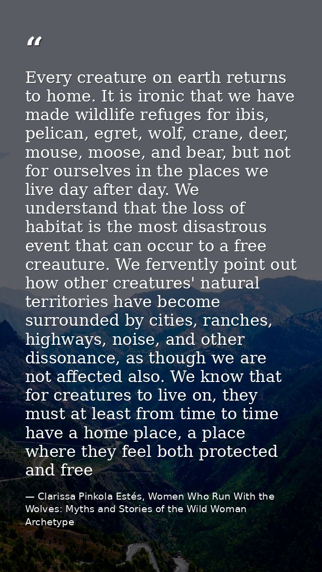 Every creature on earth returns to home. It is ironic that we have made wildlife refuges for ibis, pelican, egret, wolf, — Clarissa Pinkola Estés, Women Who Run With the Wolves: Myths and Stories of the Wild Woman Archetype