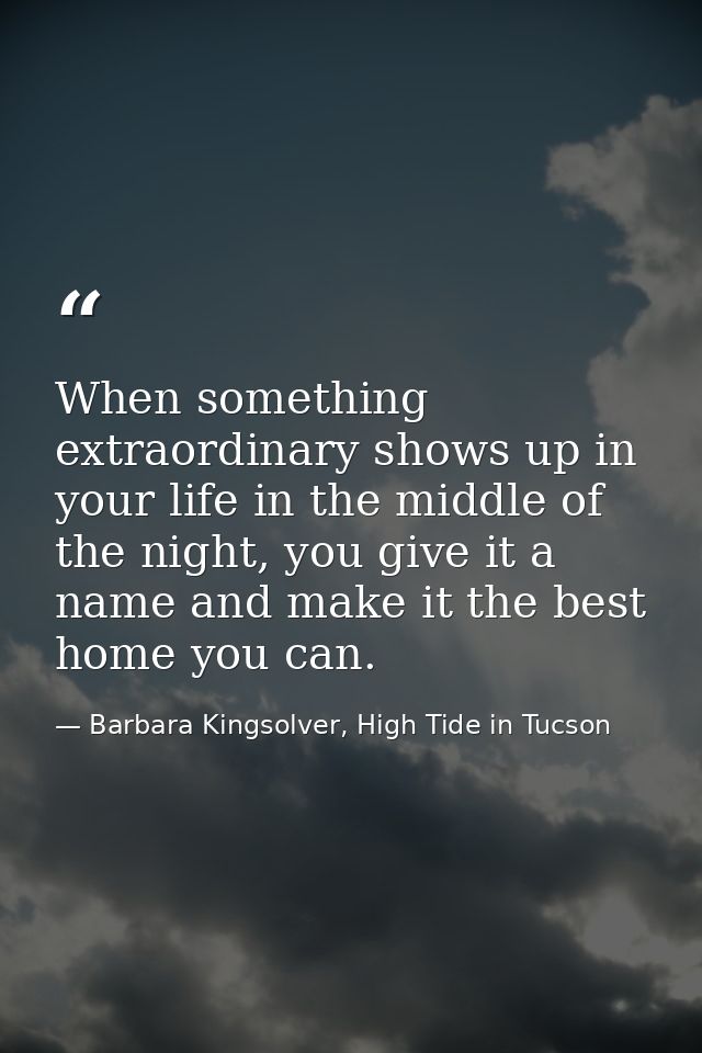 When something extraordinary shows up in your life in the middle of the night, you give it a name and make it the best h — Barbara Kingsolver, High Tide in Tucson