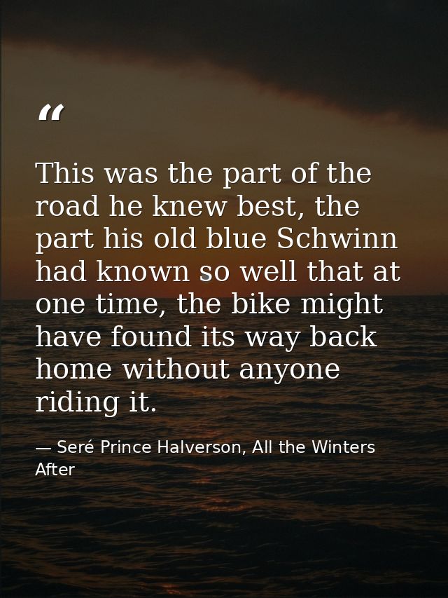 This was the part of the road he knew best, the part his old blue Schwinn had known so well that at one time, the bike m — Seré Prince Halverson, All the Winters After