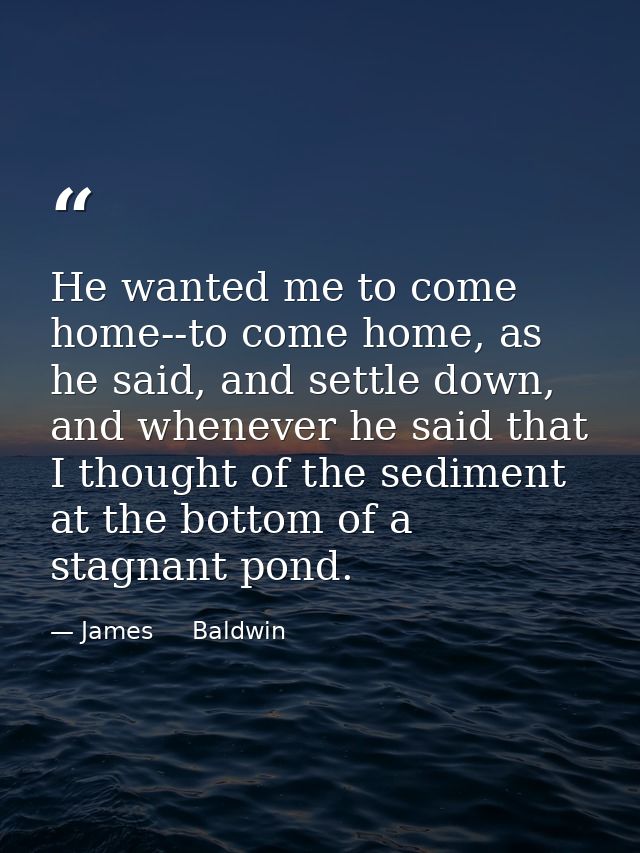 He wanted me to come home--to come home, as he said, and settle down, and whenever he said that I thought of the sedimen — James     Baldwin