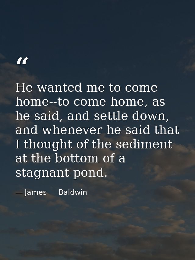 He wanted me to come home--to come home, as he said, and settle down, and whenever he said that I thought of the sedimen — James     Baldwin