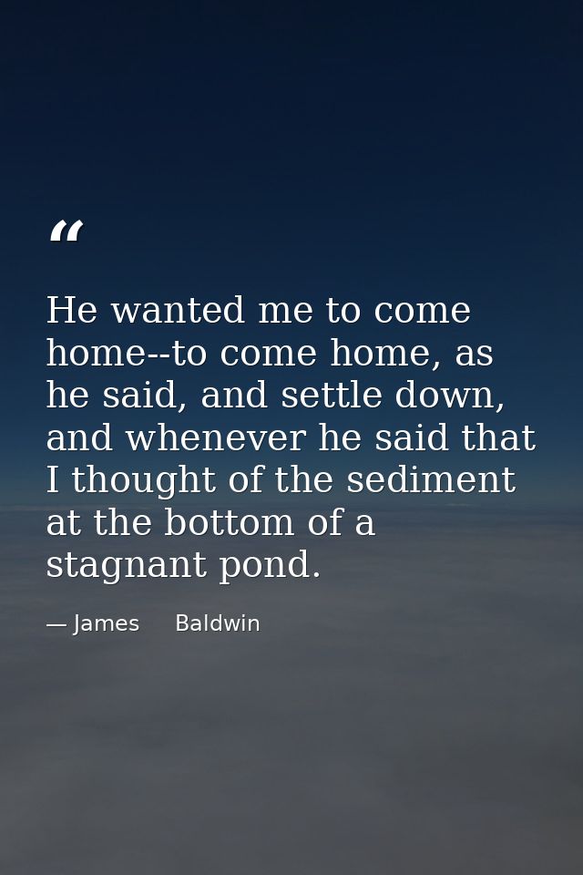 He wanted me to come home--to come home, as he said, and settle down, and whenever he said that I thought of the sedimen — James     Baldwin