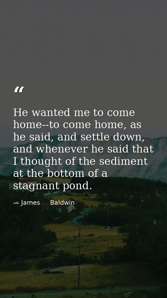 He wanted me to come home--to come home, as he said, and settle down, and whenever he said that I thought of the sedimen — James     Baldwin
