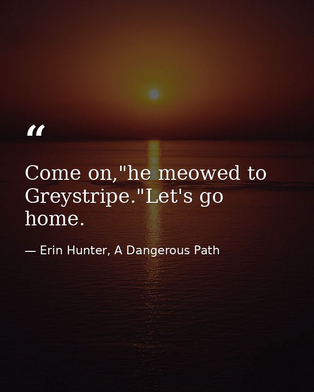 Come on,"he meowed to Greystripe."Let's go home. — Erin Hunter, A Dangerous Path