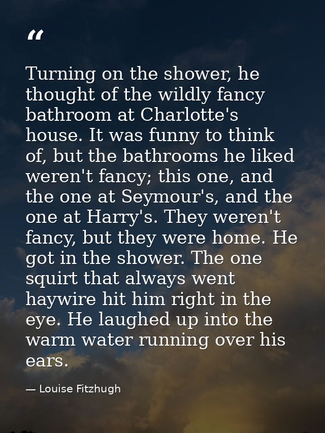 Turning on the shower, he thought of the wildly fancy bathroom at Charlotte's house. It was funny to think of, but the b — Louise Fitzhugh