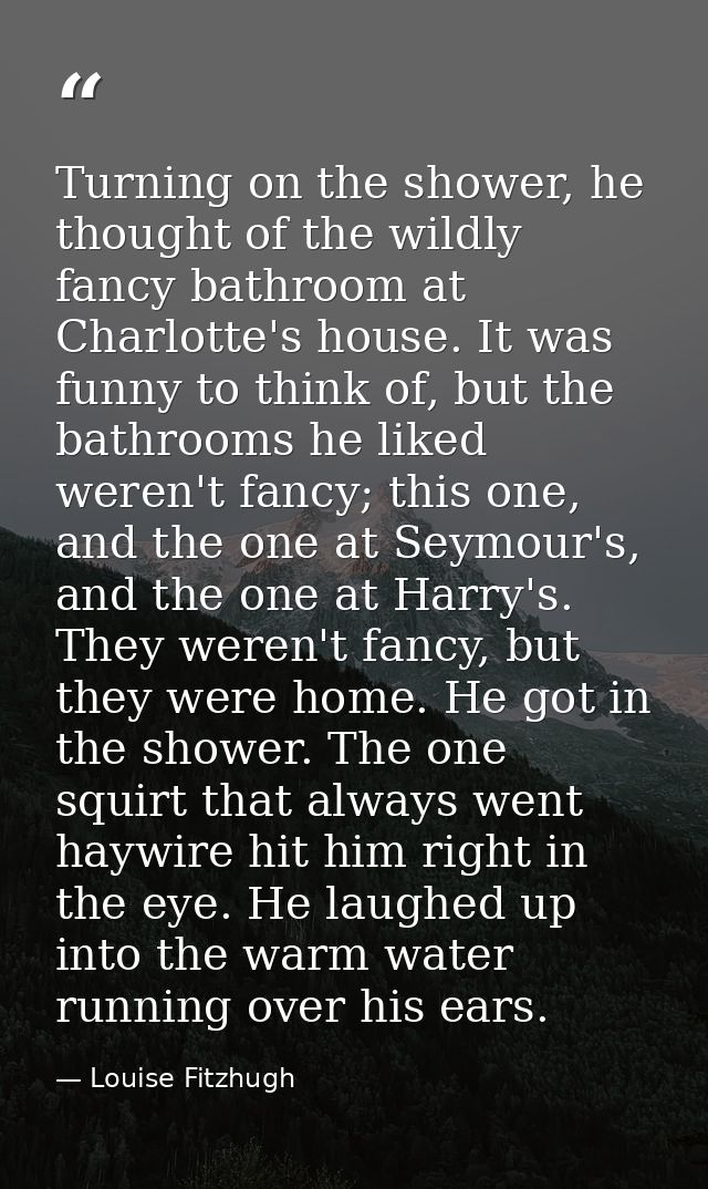 Turning on the shower, he thought of the wildly fancy bathroom at Charlotte's house. It was funny to think of, but the b — Louise Fitzhugh