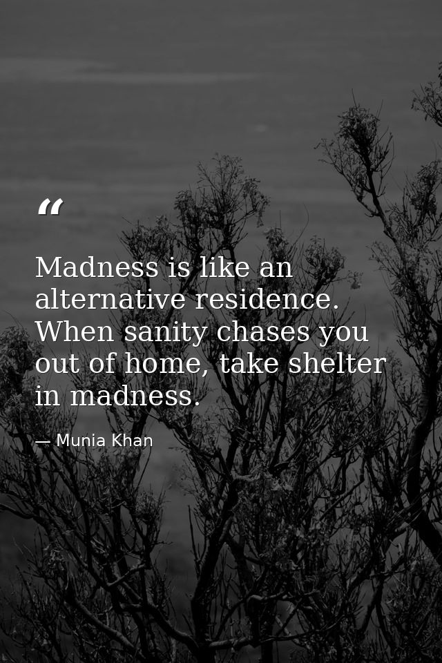 Madness is like an alternative residence. When sanity chases you out of home, take shelter in madness. — Munia Khan