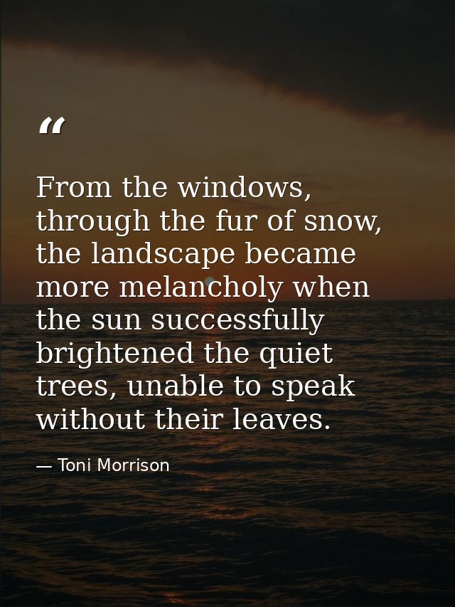From the windows, through the fur of snow, the landscape became more melancholy when the sun successfully brightened the — Toni Morrison