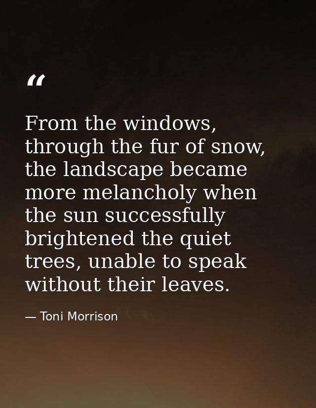 From the windows, through the fur of snow, the landscape became more melancholy when the sun successfully brightened the — Toni Morrison