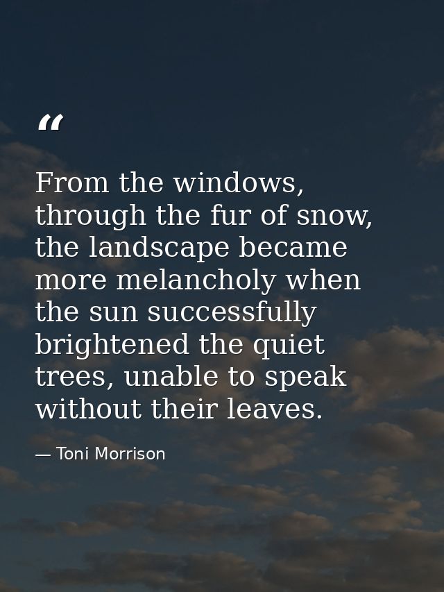 From the windows, through the fur of snow, the landscape became more melancholy when the sun successfully brightened the — Toni Morrison